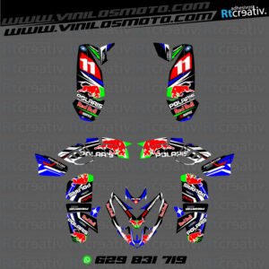 ADHESIVOS Y PEGATINAS DE VINILO PARA POLARIS PREDATOR 500 Rt004-06