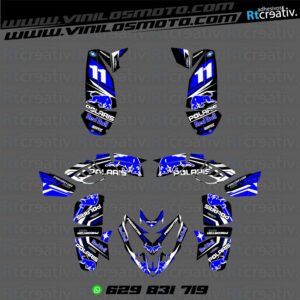 ADHESIVOS Y PEGATINAS DE VINILO PARA POLARIS PREDATOR 500 Rt004-08