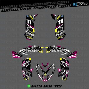 ADHESIVOS Y PEGATINAS DE VINILO PARA POLARIS PREDATOR 500 Rt004-09