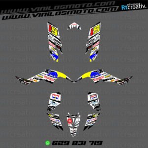 ADHESIVOS Y PEGATINAS DE VINILO PARA YAMAHA RAPTOR 350 Rt002-02