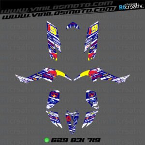 ADHESIVOS Y PEGATINAS DE VINILO PARA YAMAHA RAPTOR 350 Rt002-06