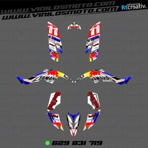 ADHESIVOS Y PEGATINAS DE VINILO PARA YAMAHA RAPTOR 350 Rt003-02