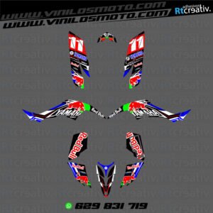 ADHESIVOS Y PEGATINAS DE VINILO PARA YAMAHA RAPTOR 350 Rt003-05