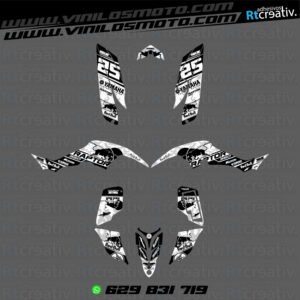 ADHESIVOS Y PEGATINAS DE VINILO PARA YAMAHA RAPTOR 350 Rt004-10