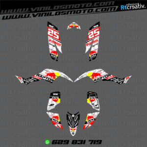 ADHESIVOS Y PEGATINAS DE VINILO PARA YAMAHA RAPTOR 350 Rt004-12