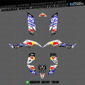 ADHESIVOS Y PEGATINAS DE VINILO PARA YAMAHA RAPTOR 350 Rt004-13