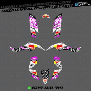 ADHESIVOS Y PEGATINAS DE VINILO PARA YAMAHA RAPTOR 350 Rt004-15