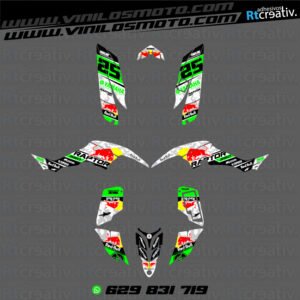 ADHESIVOS Y PEGATINAS DE VINILO PARA YAMAHA RAPTOR 350 Rt004-17