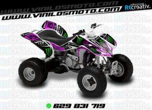 ADHESIVOS Y PEGATINAS DE VINILO PARA SUZUKI LTZ 400 Rt016-04