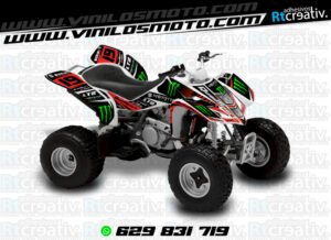 ADHESIVOS Y PEGATINAS DE VINILO PARA SUZUKI LTZ 400 Rt016-05