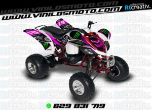 ADHESIVOS Y PEGATINAS DE VINILO PARA YAMAHA RAPTOR 660 Rt006-04