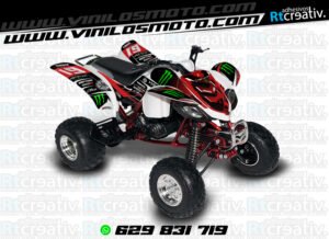 ADHESIVOS Y PEGATINAS DE VINILO PARA YAMAHA RAPTOR 660 Rt006-05