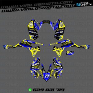 ADHESIVOS Y PEGATINAS DE VINILO PARA SUZUKI LTR 450 Rt002-02