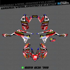 ADHESIVOS Y PEGATINAS DE VINILO PARA SUZUKI LTR 450 Rt002-04