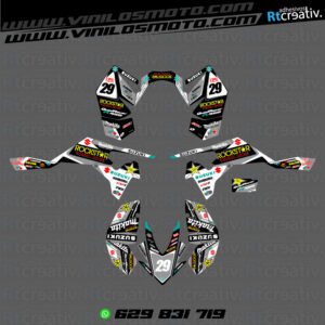 ADHESIVOS Y PEGATINAS DE VINILO PARA SUZUKI LTR 450 Rt002-06
