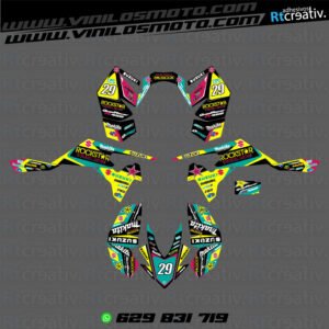 ADHESIVOS Y PEGATINAS DE VINILO PARA SUZUKI LTR 450 Rt002-09