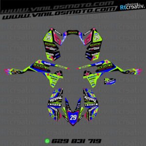 ADHESIVOS Y PEGATINAS DE VINILO PARA SUZUKI LTR 450 Rt002-10
