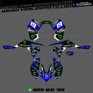 ADHESIVOS Y PEGATINAS DE VINILO PARA SUZUKI LTR 450 Rt012-02
