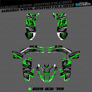 ADHESIVOS Y PEGATINAS DE VINILO PARA POLARIS PREDATOR 500 Rt005-01
