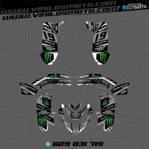 ADHESIVOS Y PEGATINAS DE VINILO PARA POLARIS PREDATOR 500 Rt005-03