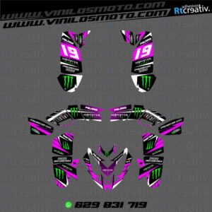 ADHESIVOS Y PEGATINAS DE VINILO PARA POLARIS PREDATOR 500 Rt005-04
