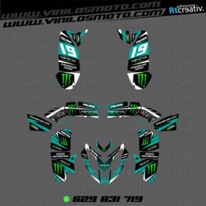 ADHESIVOS Y PEGATINAS DE VINILO PARA POLARIS PREDATOR 500 Rt005-06