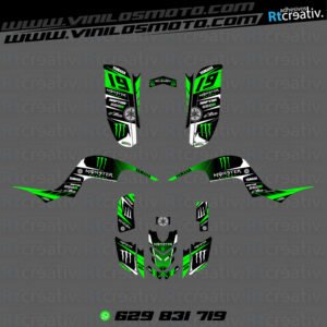 ADHESIVOS Y PEGATINAS DE VINILO PARA YAMAHA RAPTOR 660 Rt006-01