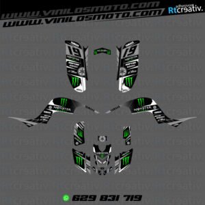 ADHESIVOS Y PEGATINAS DE VINILO PARA YAMAHA RAPTOR 660 Rt006-03