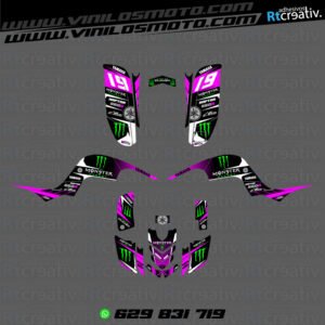 ADHESIVOS Y PEGATINAS DE VINILO PARA YAMAHA RAPTOR 660 Rt006-04