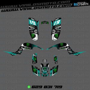 ADHESIVOS Y PEGATINAS DE VINILO PARA YAMAHA RAPTOR 660 Rt006-06