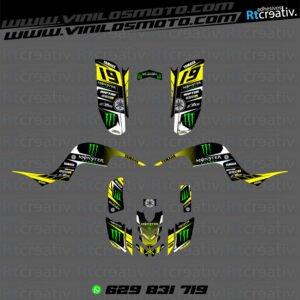 ADHESIVOS Y PEGATINAS DE VINILO PARA YAMAHA RAPTOR 660 Rt006-07