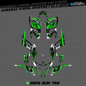 ADHESIVOS Y PEGATINAS DE VINILO PARA YAMAHA RAPTOR 700 Rt006-01