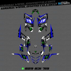 ADHESIVOS Y PEGATINAS DE VINILO PARA YAMAHA RAPTOR 700 Rt006-02