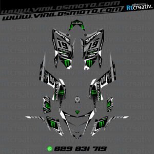 ADHESIVOS Y PEGATINAS DE VINILO PARA YAMAHA RAPTOR 700 Rt006-03