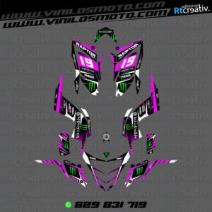 ADHESIVOS Y PEGATINAS DE VINILO PARA YAMAHA RAPTOR 700 Rt006-04