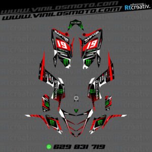 ADHESIVOS Y PEGATINAS DE VINILO PARA YAMAHA RAPTOR 700 Rt006-05