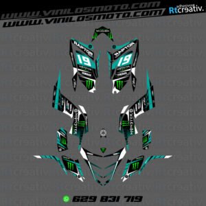 ADHESIVOS Y PEGATINAS DE VINILO PARA YAMAHA RAPTOR 700 Rt006-06