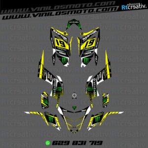 ADHESIVOS Y PEGATINAS DE VINILO PARA YAMAHA RAPTOR 700 Rt006-07