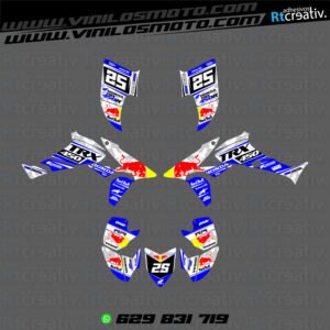 ADHESIVOS Y PEGATINAS DE VINILO PARA HONDA TRX 450 Rt003-02