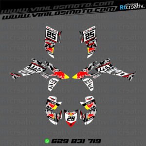 ADHESIVOS Y PEGATINAS DE VINILO PARA HONDA TRX 450 Rt003-04