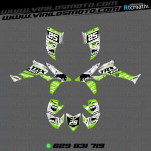 ADHESIVOS Y PEGATINAS DE VINILO PARA HONDA TRX 450 Rt003-09