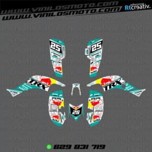 ADHESIVOS Y PEGATINAS DE VINILO PARA HONDA TRX 400 Rt004-05