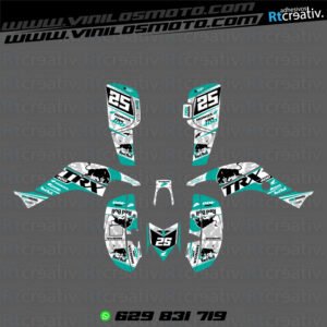 ADHESIVOS Y PEGATINAS DE VINILO PARA HONDA TRX 400 Rt004-06