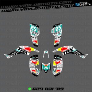 ADHESIVOS Y PEGATINAS DE VINILO PARA HONDA TRX 400 Rt004-16