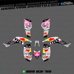 ADHESIVOS Y PEGATINAS DE VINILO PARA HONDA TRX 400 Rt004-17