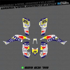 ADHESIVOS Y PEGATINAS DE VINILO PARA HONDA TRX 400 Rt004-20