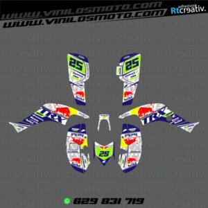 ADHESIVOS Y PEGATINAS DE VINILO PARA HONDA TRX 400 Rt004-21
