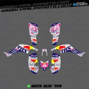 ADHESIVOS Y PEGATINAS DE VINILO PARA HONDA TRX 400 Rt004-22