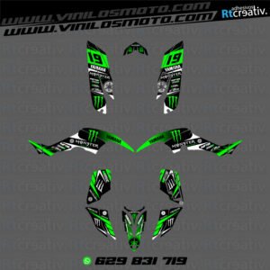 ADHESIVOS Y PEGATINAS DE VINILO PARA YAMAHA RAPTOR 350 Rt006-01