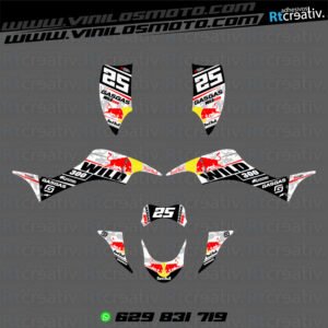 ADHESIVOS Y PEGATINAS DE VINILO PARA GAS GAS WILD Rt007-03